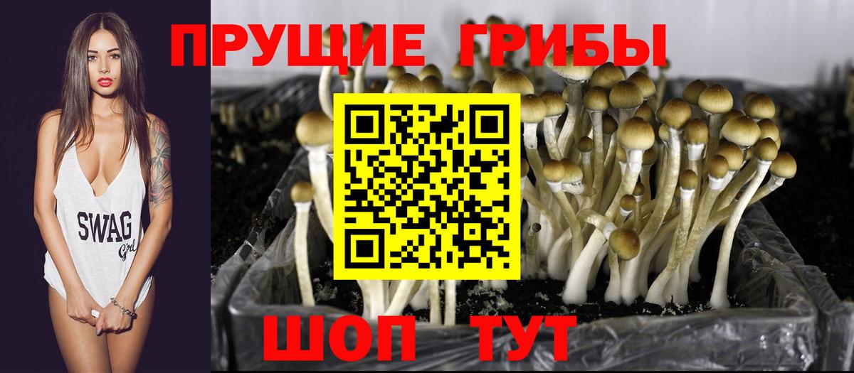 Сыктывкар  Псилоцибиновые грибы MAGIC MUSHROOMS  Галлюциногенные грибы Psilocybe  Вход с VPN 